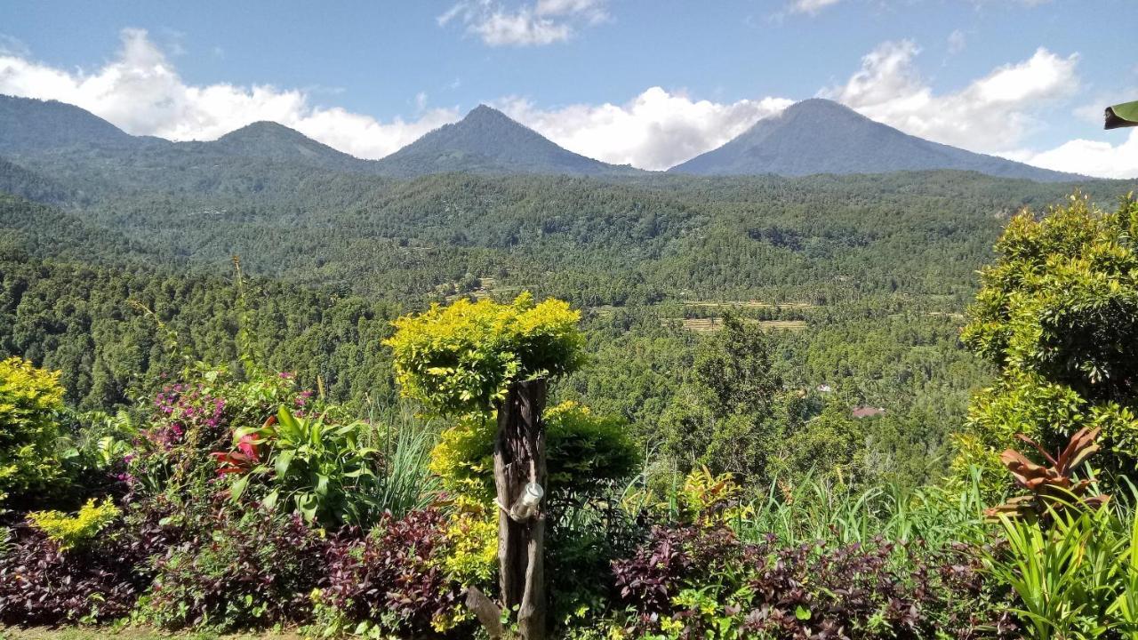 Made Oka Homestay&Warung Munduk Exterior foto