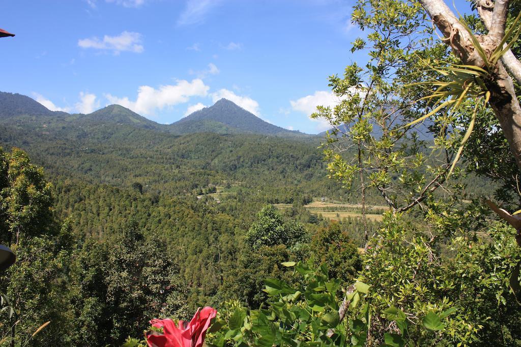 Made Oka Homestay&Warung Munduk Exterior foto