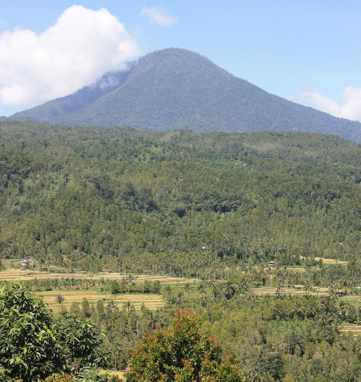 Made Oka Homestay&Warung Munduk Exterior foto